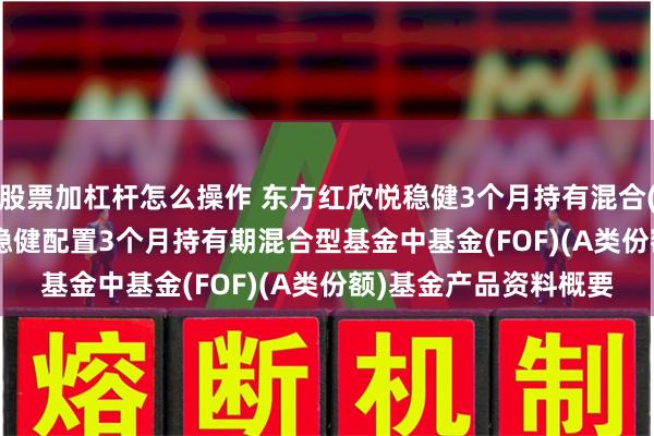 股票加杠杆怎么操作 东方红欣悦稳健3个月持有混合(FOF)A: 东方红欣悦稳健配置3个月持有期混合型基金中基金(FOF)(A类份额)基金产品资料概要