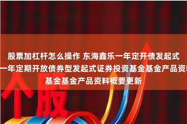 股票加杠杆怎么操作 东海鑫乐一年定开债发起式: 东海鑫乐一年定期开放债券型发起式证券投资基金基金产品资料概要更新