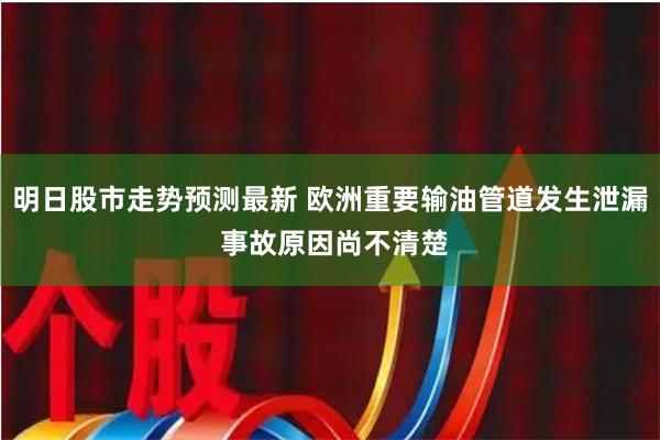 明日股市走势预测最新 欧洲重要输油管道发生泄漏 事故原因尚不清楚