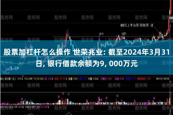 股票加杠杆怎么操作 世荣兆业: 截至2024年3月31日, 银行借款余额为9, 000万元