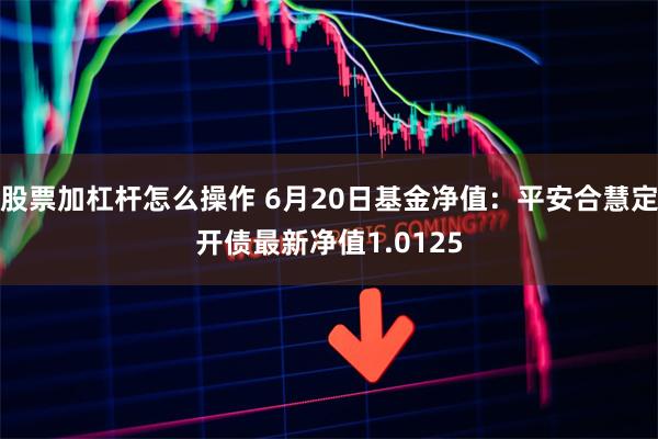 股票加杠杆怎么操作 6月20日基金净值：平安合慧定开债最