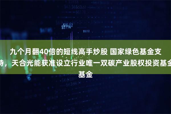 九个月翻40倍的短线高手炒股 国家绿色基金支持，天合光能